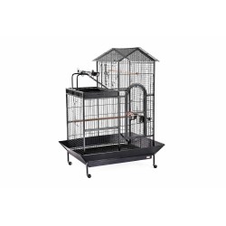 DYA17 JAULA TUCUMAN PARA LORO ARENA