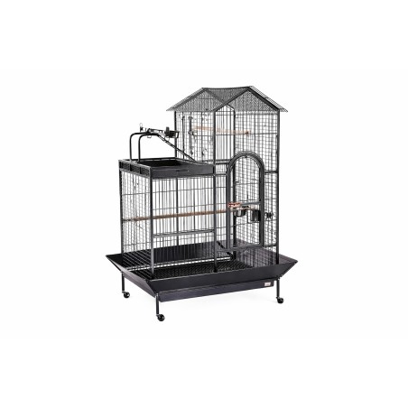 DYA17 JAULA TUCUMAN PARA LORO ARENA