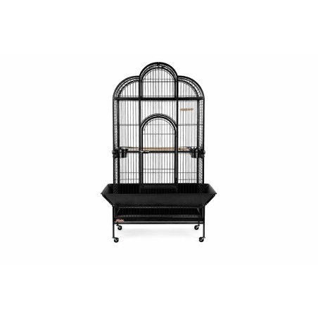 DYA23 JAULA MACONDO II PARA LORO NEGRA
