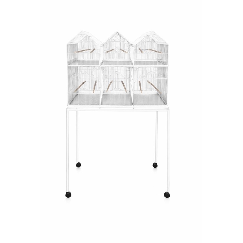 PAJARERA 6 DEPARTAMENTOS