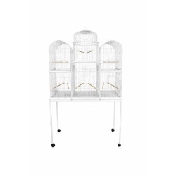 PAJARERA SAN MARQUEÑA CON BASE