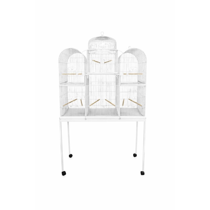 PAJARERA SAN MARQUEÑA CON BASE