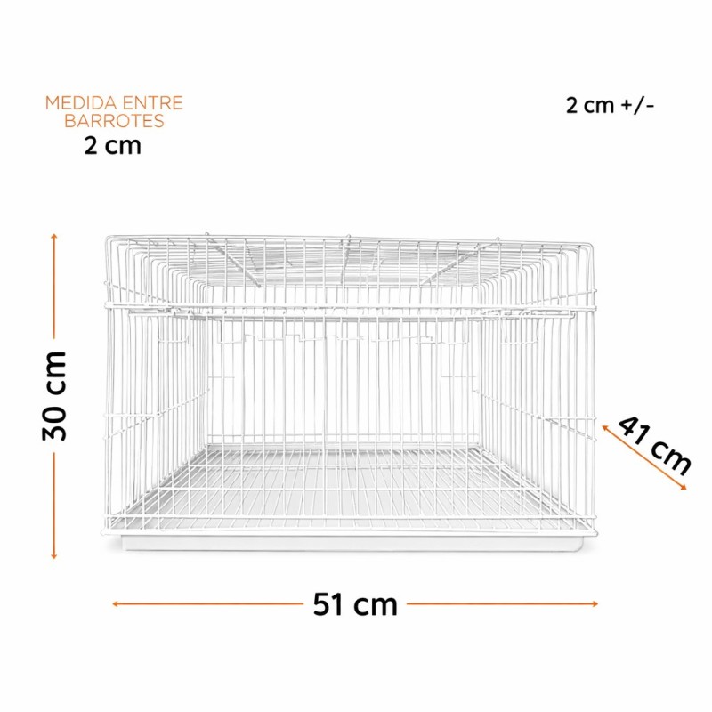 TRAMPA PARA PALOMOS Y OTRAS AVES