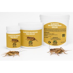 300 GR ALIMENTO PARA GRILLOS