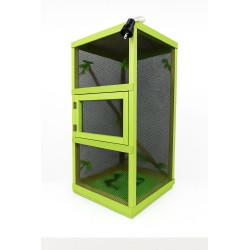 IGUANARIO GDE FERI 40X40X60CM VERDE