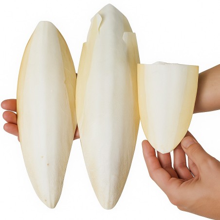 JIBIA PARA AVES KILOS