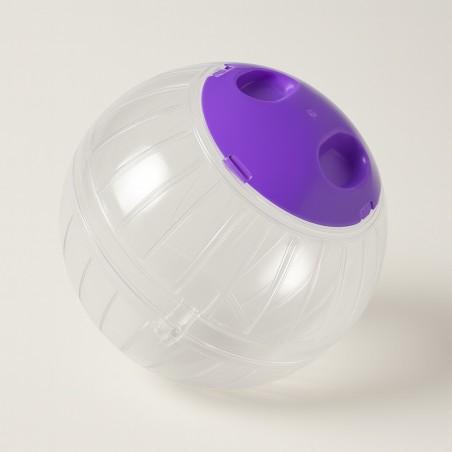 EXERCISE BALL L 14.5-5.7 V. COLORES VIOLETA